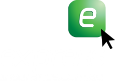 Express Insurance Logo